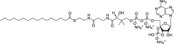 酰基辅酶A.jpg